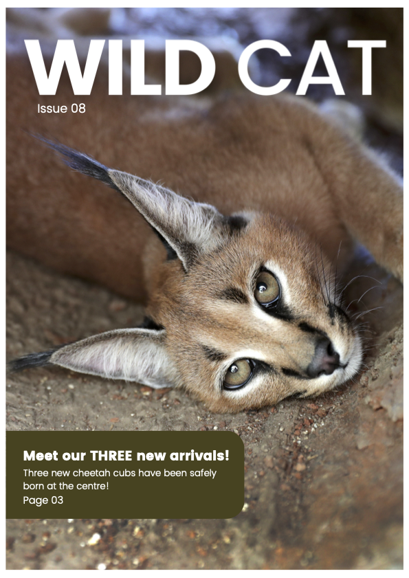 Wild Cat Issue 8