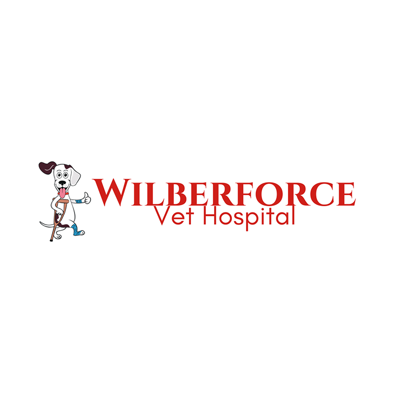 Wilberforcea Vet Hospital